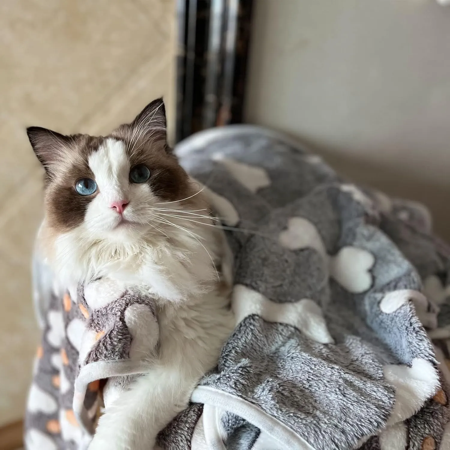 1 Pack 3 Puppy Blankets Super Soft Warm Sleep Mat Grey Cute Print Blanket Fluffy Fleece Pet Blanket Flannel Throw Dog Blankets for Small Dogs Puppy Dogs Fluffy Cats,Bone-Small(23"x15")