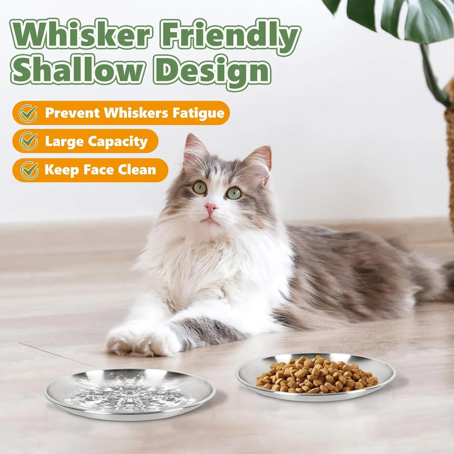2-Pack Stainless Steel Cat Food Bowls  6.7" Shallow, Whisker-Friendly Non-Slip Silicone Base,Easy to Clean Indoor Feeding Dishes(13 OZ)