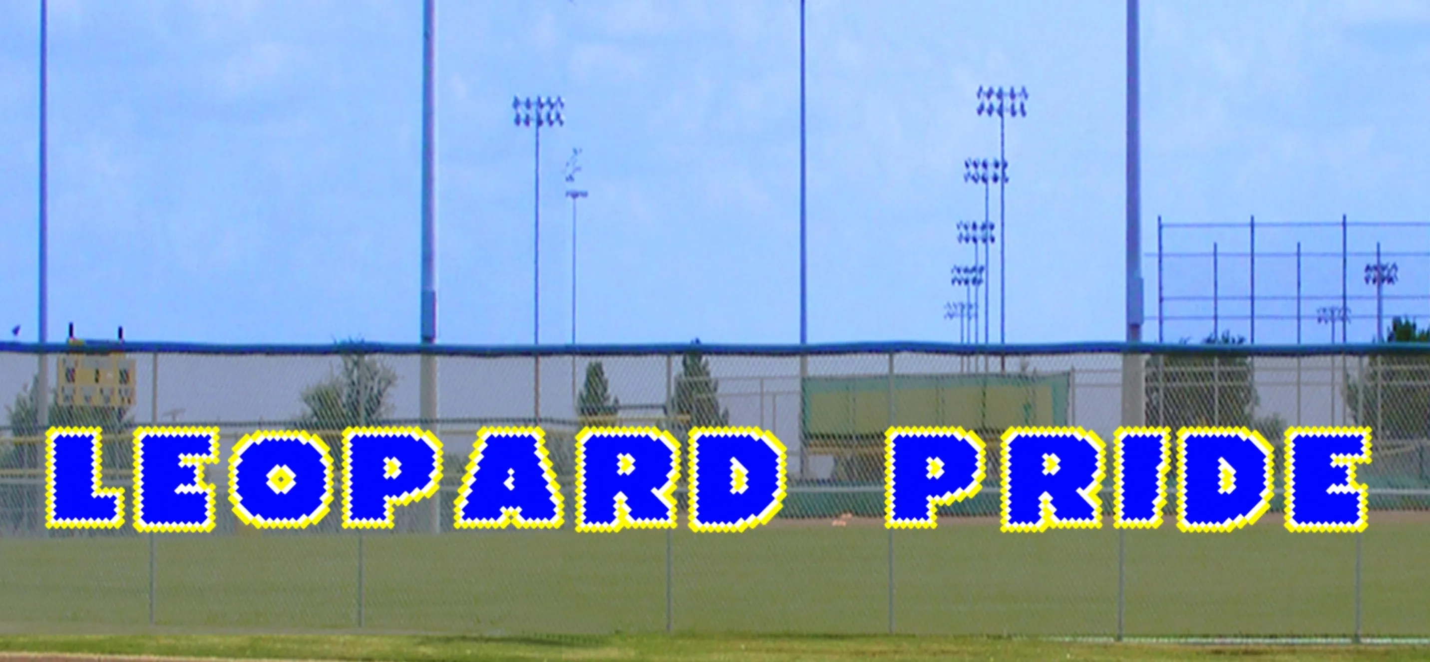 4' x 50' Bold Leopard Pride