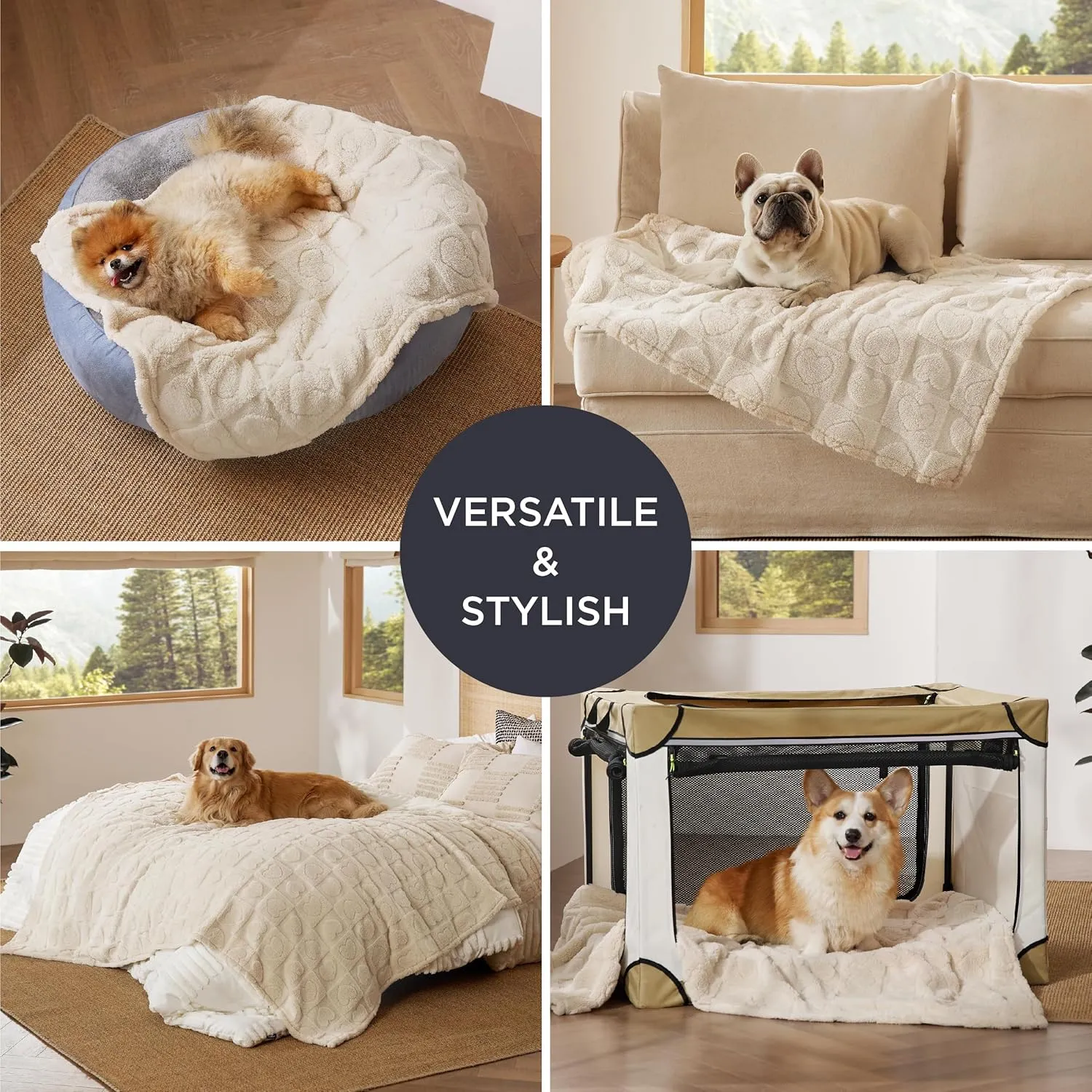 Bedsure 1 Pack 3 Dog Blankets for Small Dogs - 3pcs Washable Fluffy Fuzzy Puppy Cat Blanket with Premium 300GSM Coral Fleece Soft for Pet Kitten Doggy, 16x23, White
