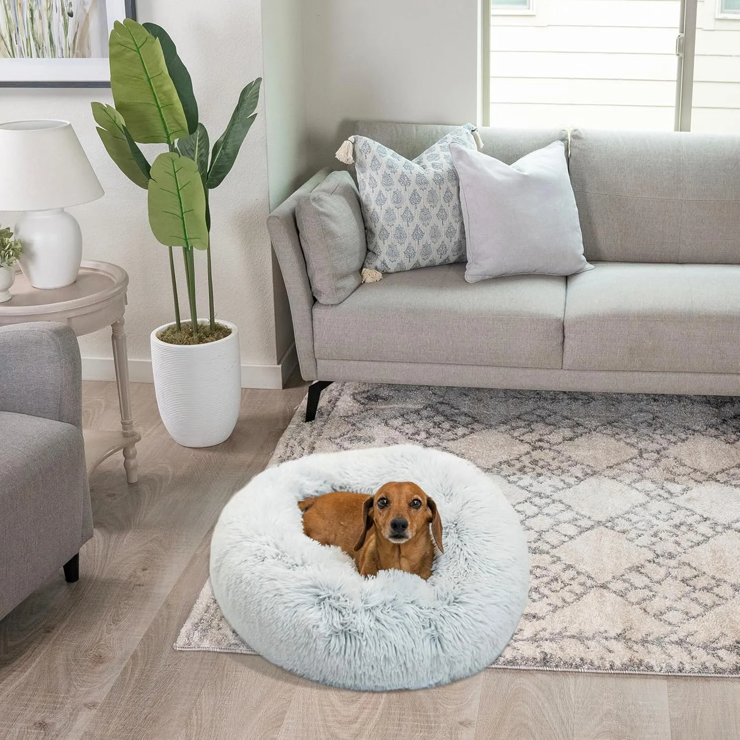 Best Friends by Sheri Original Calming Donut Dog and Cat Bed, Shag Faux Fur, Frost Gray, Small (23x23) - Helps Provide Anxiety Relief for Pets