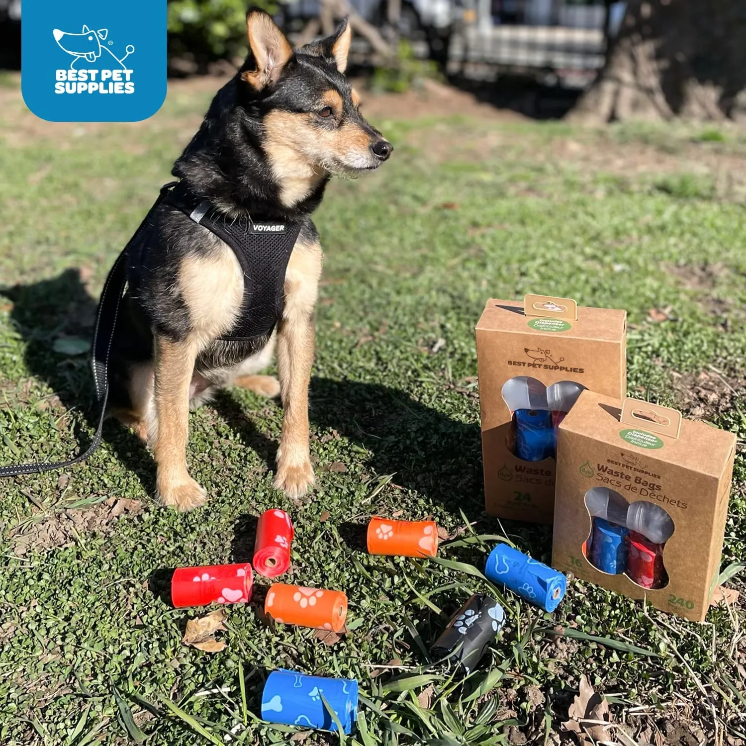 Best Pet Supplies Dog Poop Bags for Waste Cleanup 240 Bags