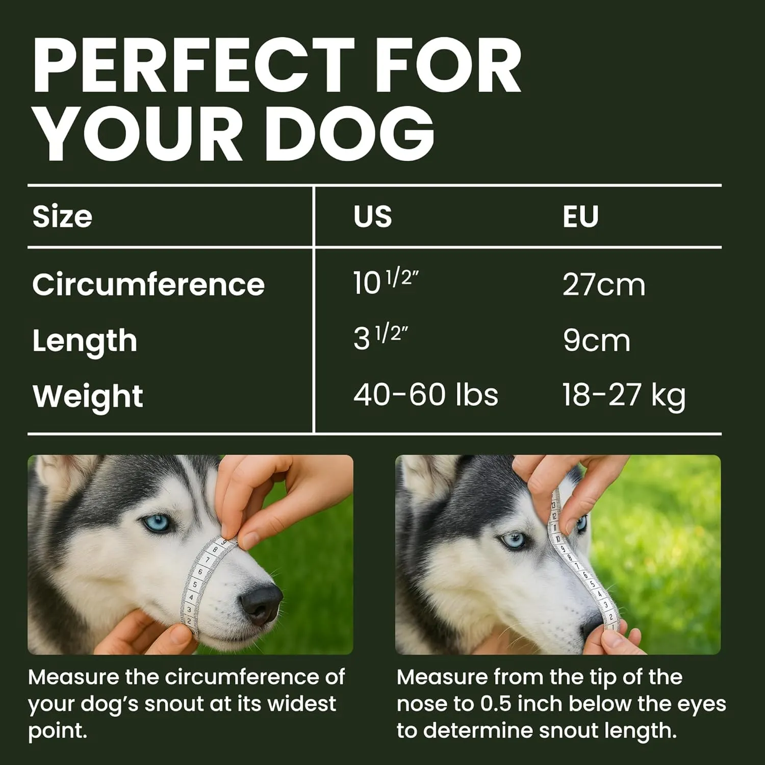 BRONZEDOG Dog Muzzle Adjustable Durable Metal Wire Basket for Large and Extra Large Dogs with Leather Straps Breathable, Drinkable, Training, Prevents Biting (Stainless Steel, Husky & Doberman)