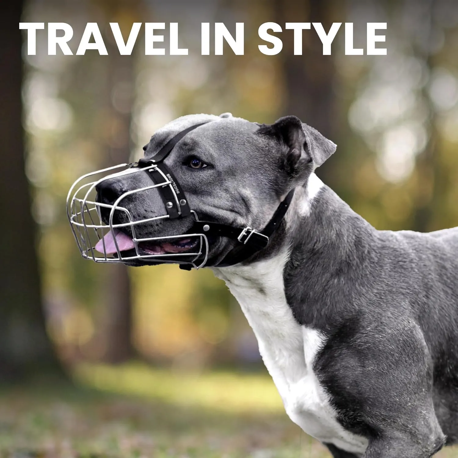 BRONZEDOG Pitbull Dog Muzzle Metal Mask Amstaff Wire Basket Pit Bull Adjustable Leather Straps for Large Dogs (Steel)