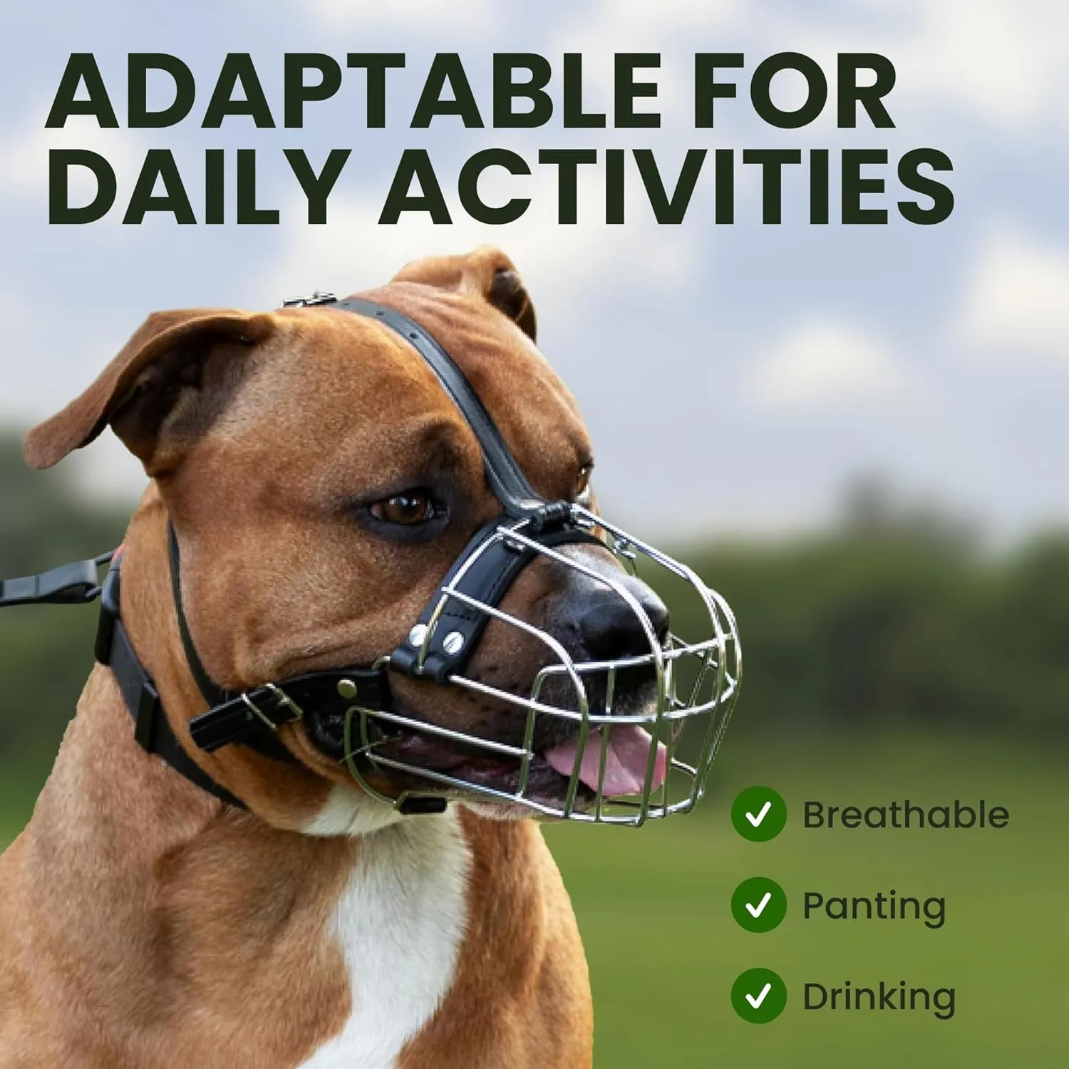 BRONZEDOG Pitbull Dog Muzzle Metal Mask Amstaff Wire Basket Pit Bull Adjustable Leather Straps for Large Dogs (Steel)