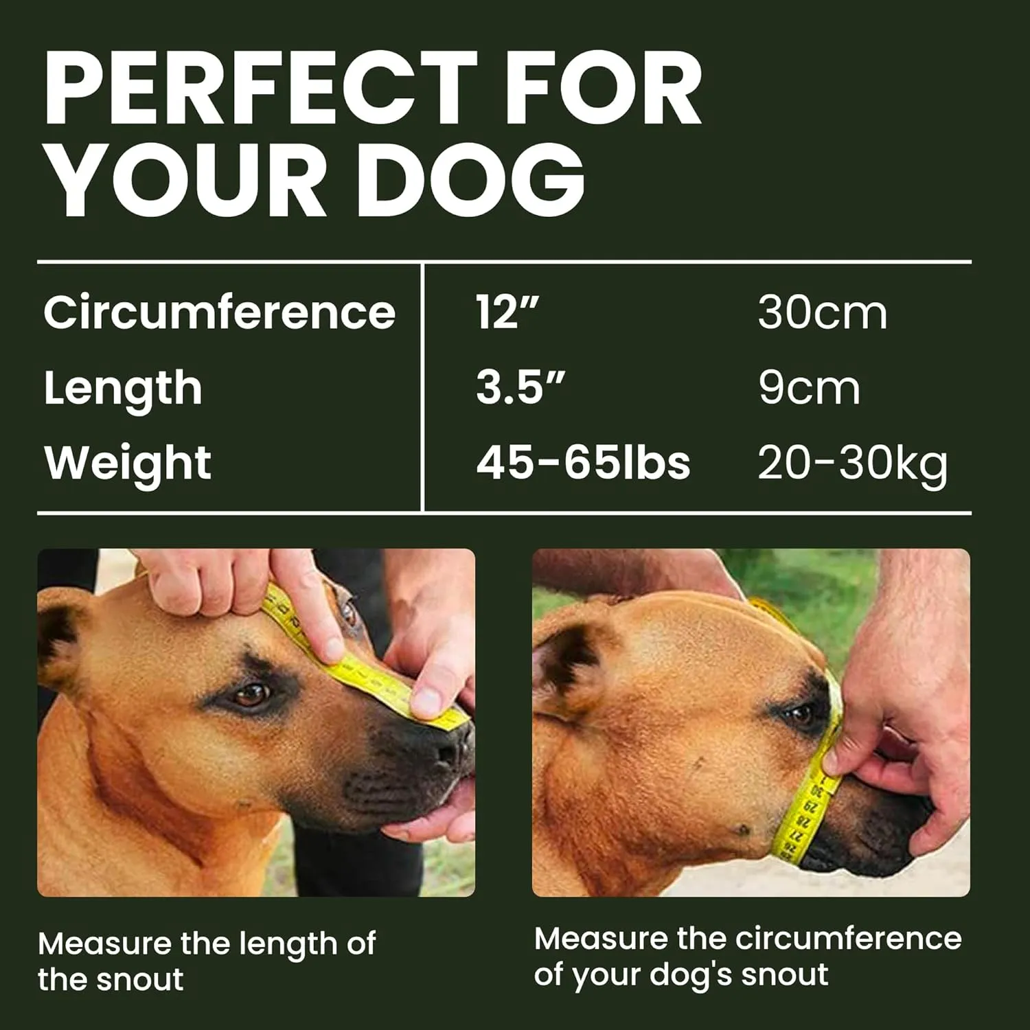 BRONZEDOG Pitbull Dog Muzzle Metal Mask Amstaff Wire Basket Pit Bull Adjustable Leather Straps for Large Dogs (Steel)