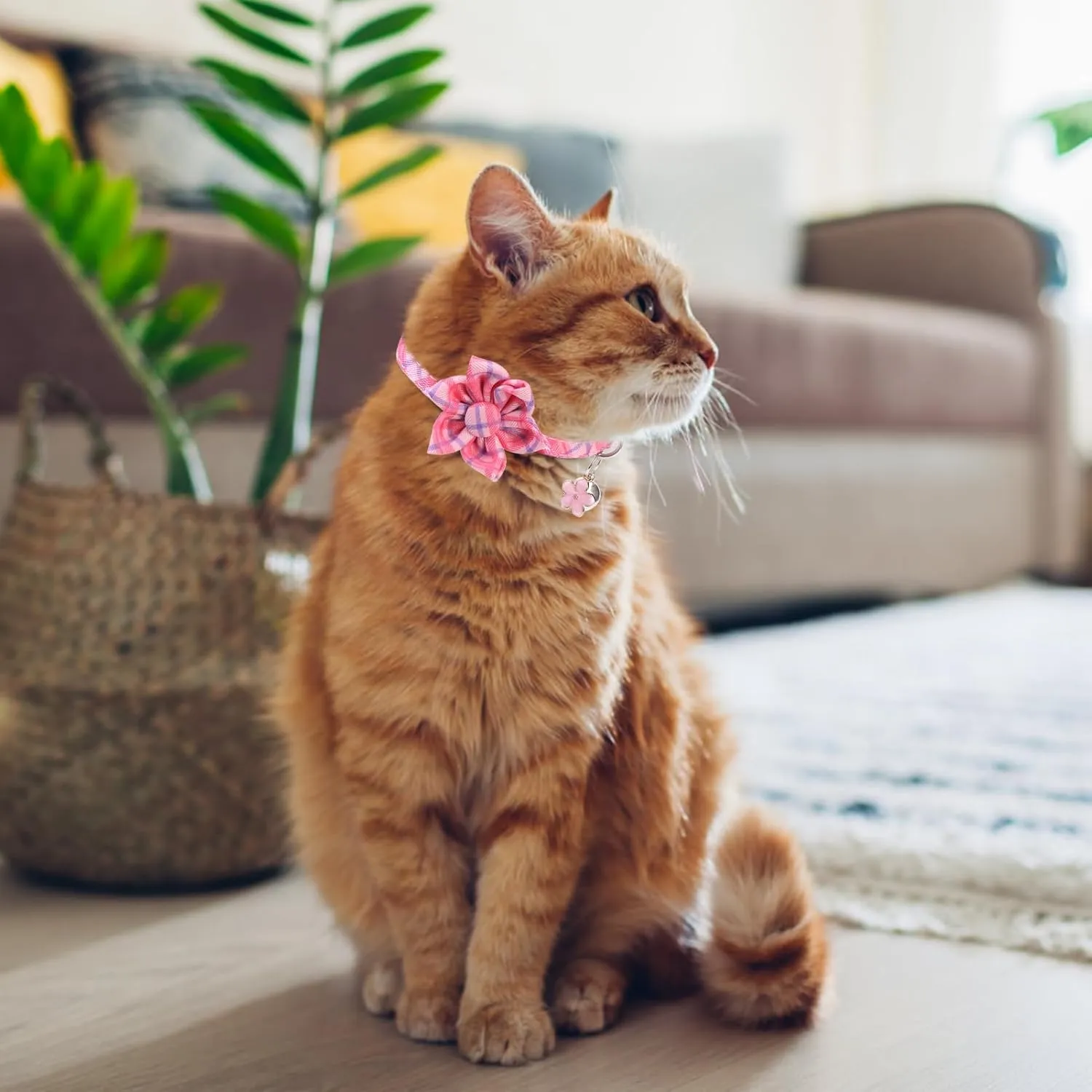 Cat Collar with Bells- Breakaway Cat Collar for Girl Cats- Flower Cat Collars with Removable Floral Safety Buckle- Cute Kitten Collar Adjustable 8"-12" for Kitty Puppy and Small Pets