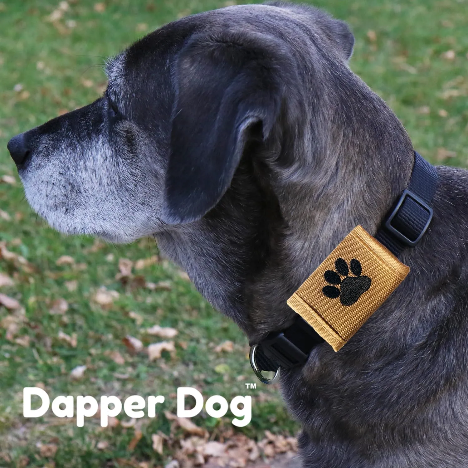 Dapper Dog Pet Tag Silencer and AirTag Holder - Ballistic Nylon (Tan with Black Paw Print)