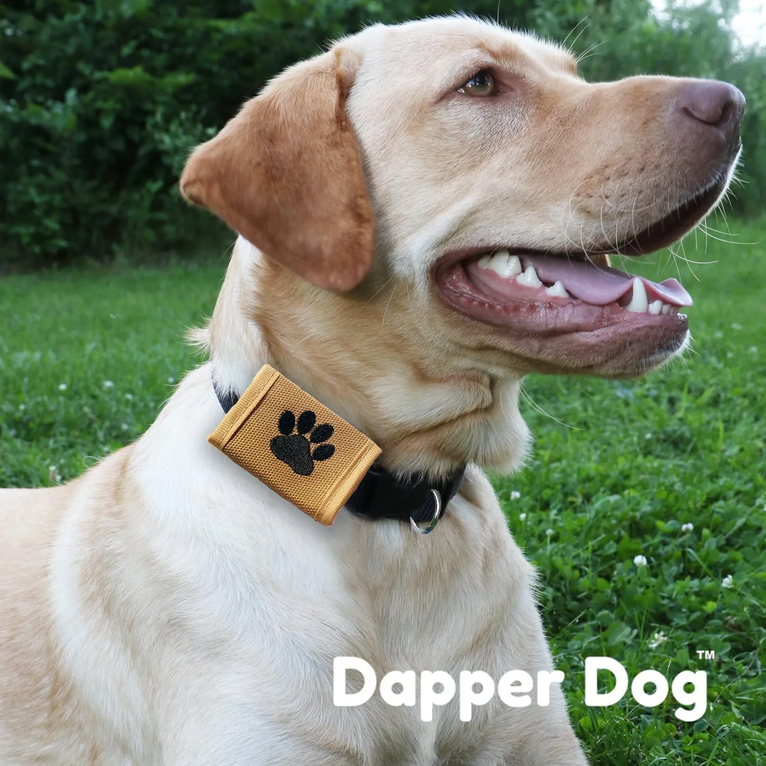 Dapper Dog Pet Tag Silencer and AirTag Holder - Ballistic Nylon (Tan with Black Paw Print)