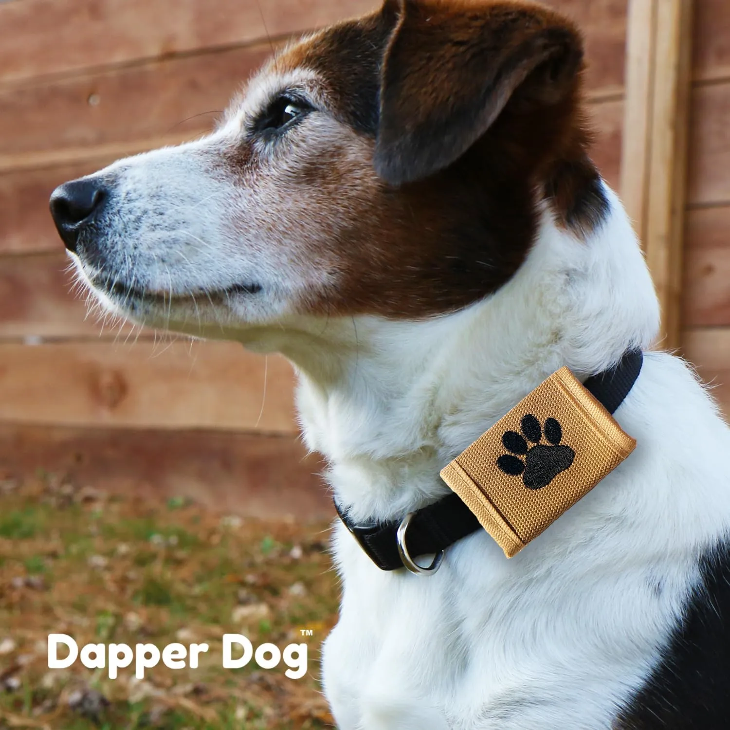 Dapper Dog Pet Tag Silencer and AirTag Holder - Ballistic Nylon (Tan with Black Paw Print)