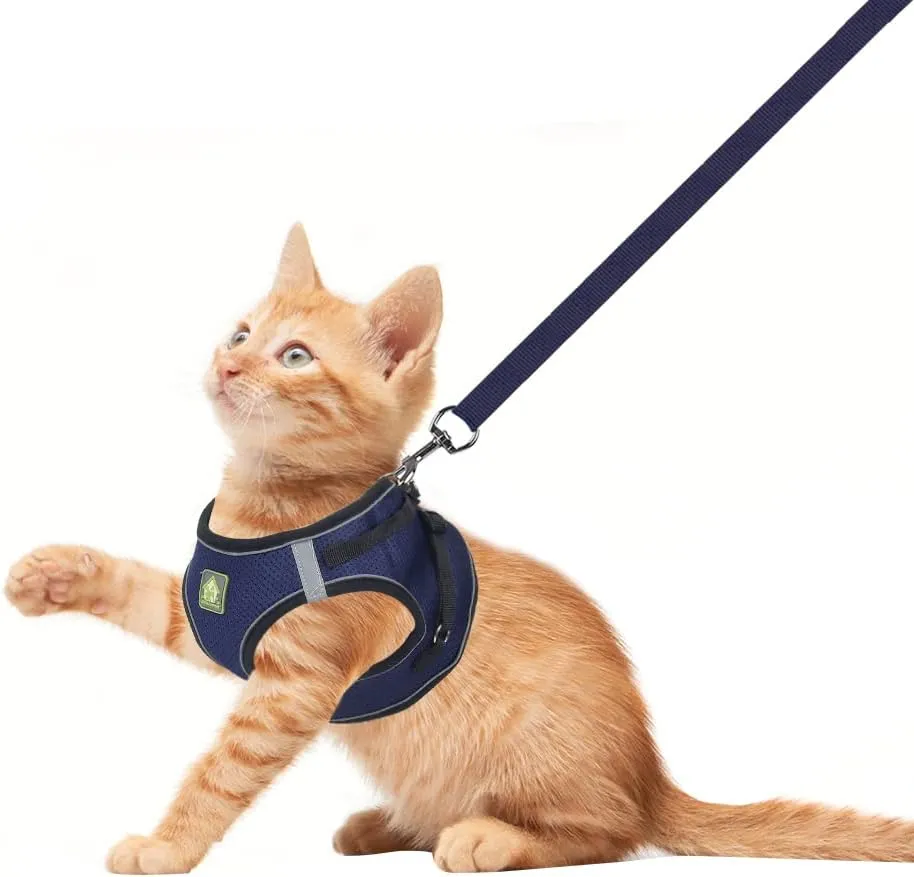 FEimaX Dog Harness and Leash Set, No Pull Breathable Soft Mesh Puppy Vest Harness Reflective Adjustable Pet Harnesses for Small Medium Dogs and Cats - Outdoor Easy Control for Walking