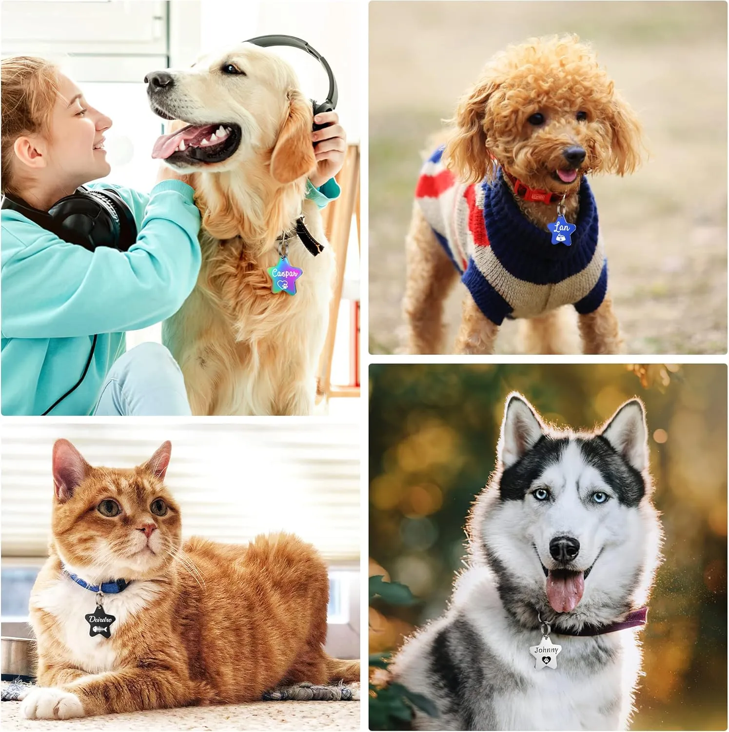 GISUREY Dog Tags Engraved Pet Tags Stainless Steel Custom Dog and Cat Name Tags Personalized Double-Sided Engraving Pet ID Tags with Trendy Icons/Symbols (Star)