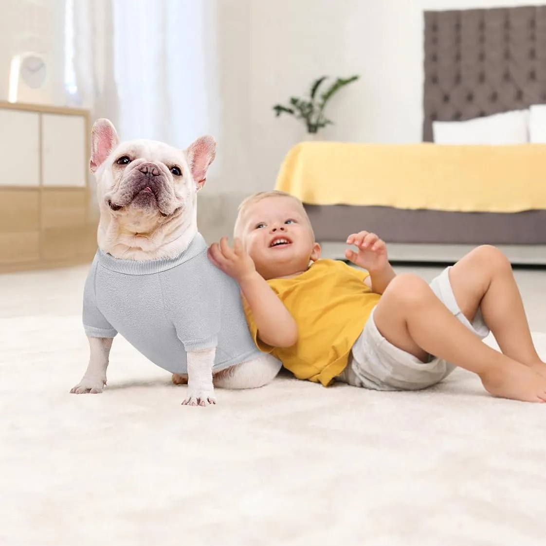 Idepet Dog Fleece Sweater, Small Dogs Shirt Pullover Sweatshirt Pet Dog Clothes Soft Puppy Sweater Warm Winter Shirt Classic Cat Apparel for Small Dogs and Cats (X-Small, Grey)
