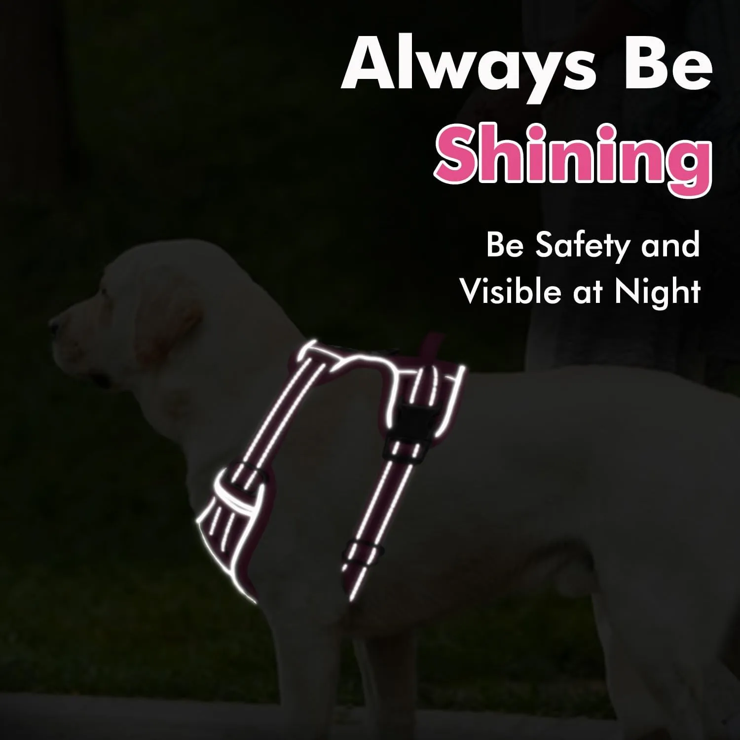 Joytale Step-in No Pull Dog Harness for Large Dogs with 2 Leash Clips, Reflective Pet Vest with Easy Control Handle, Adjustable Soft Padded Harness for Walking and Training, Hotpink,L