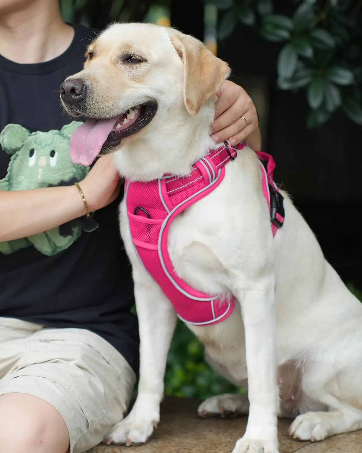 Joytale Step-in No Pull Dog Harness for Large Dogs with 2 Leash Clips, Reflective Pet Vest with Easy Control Handle, Adjustable Soft Padded Harness for Walking and Training, Hotpink,L