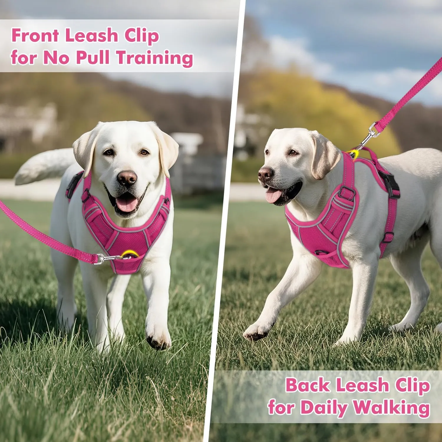 Joytale Step-in No Pull Dog Harness for Large Dogs with 2 Leash Clips, Reflective Pet Vest with Easy Control Handle, Adjustable Soft Padded Harness for Walking and Training, Hotpink,L