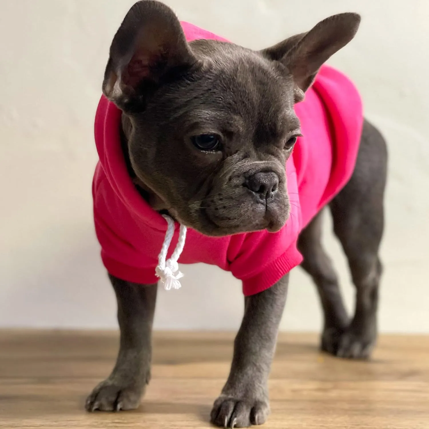 Love My Grandma Mother's Day, Valentine's Day Dog Hoodie Fleece Lined Pullover Sweatshirt with Leash Hole (Green, X-Large 399)