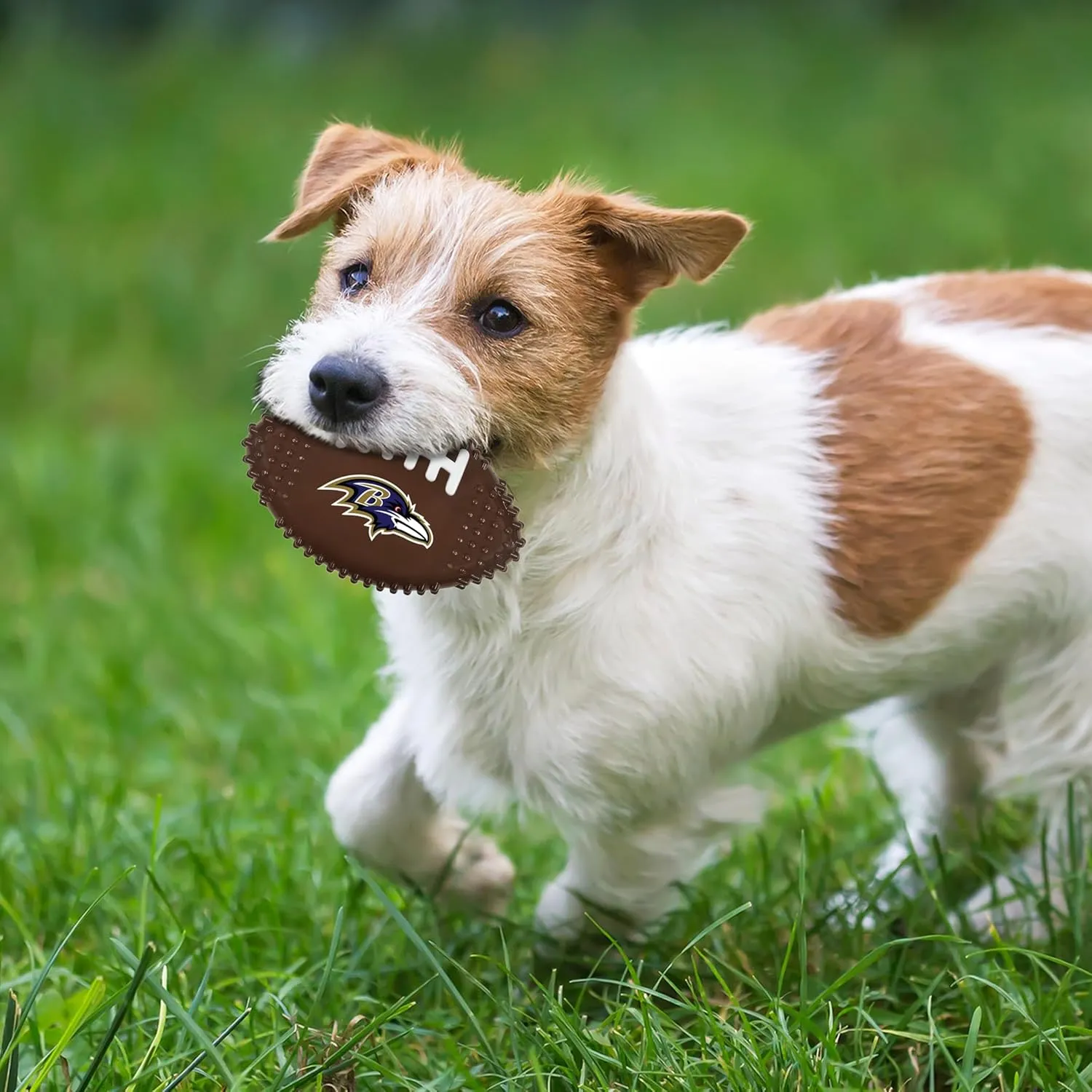 NFL Baltimore Ravens Mega- Chew Hard Nylon Bacon-Flavored Dog Bone Football Chew Toy Interactive Tasty Fun Dog Chewy Toys Indestructible Strong Durable Tough Pet Biting Playtoy for Aggressive Chewers