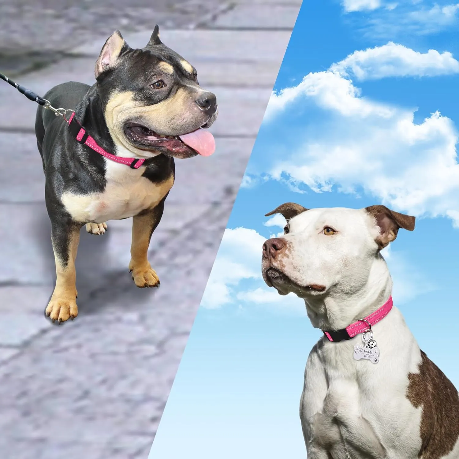 PaiPaitek E Collar Replacement Strap - Compatible with Almost All Makes and Models of Shock Training Collars and Bark Collars - Durable and Reflective, 2 Packs