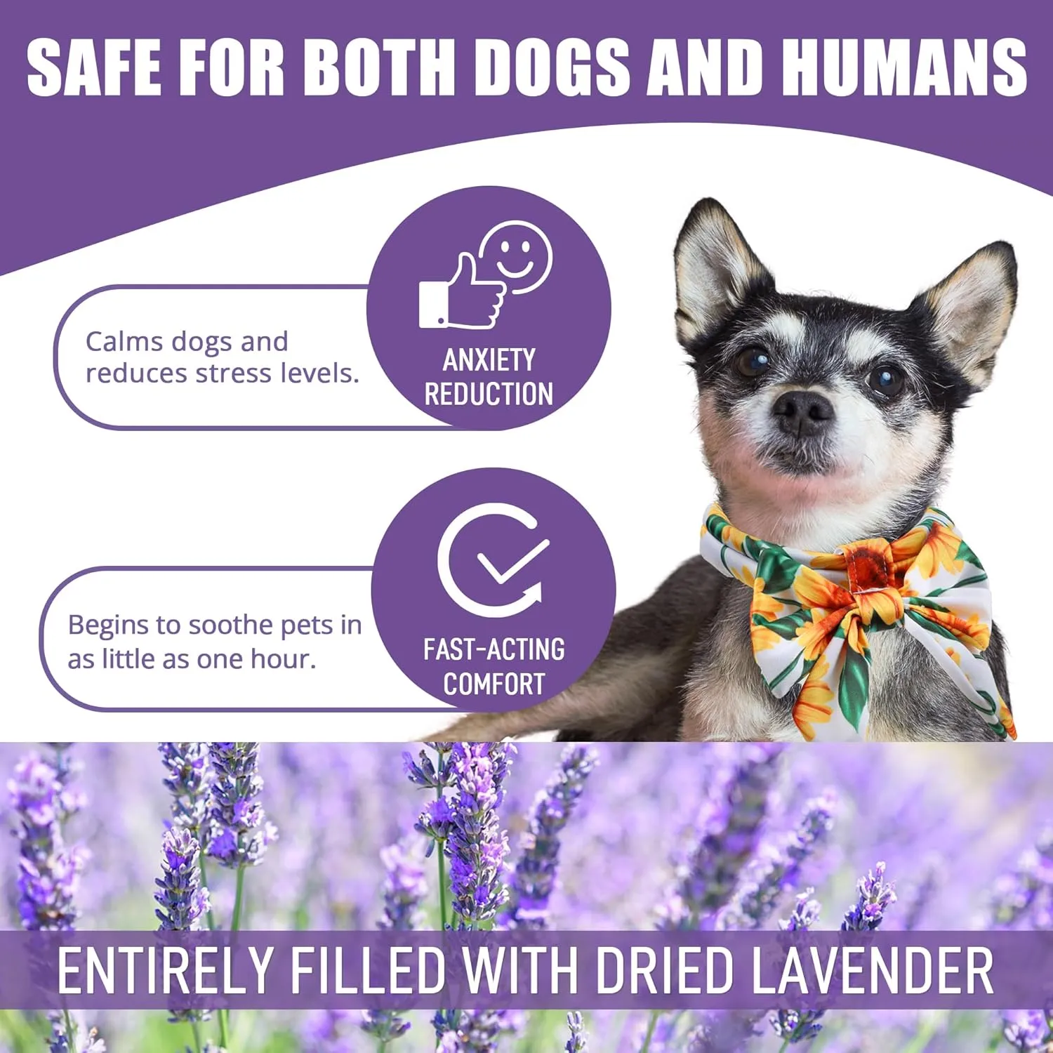 Paw Legend Dog Calming Collar for Dogs Filled with Lavender Anxiety Relief 100% Polyester Adjustable Thunderease Calming Collar (2 Pack, Small)