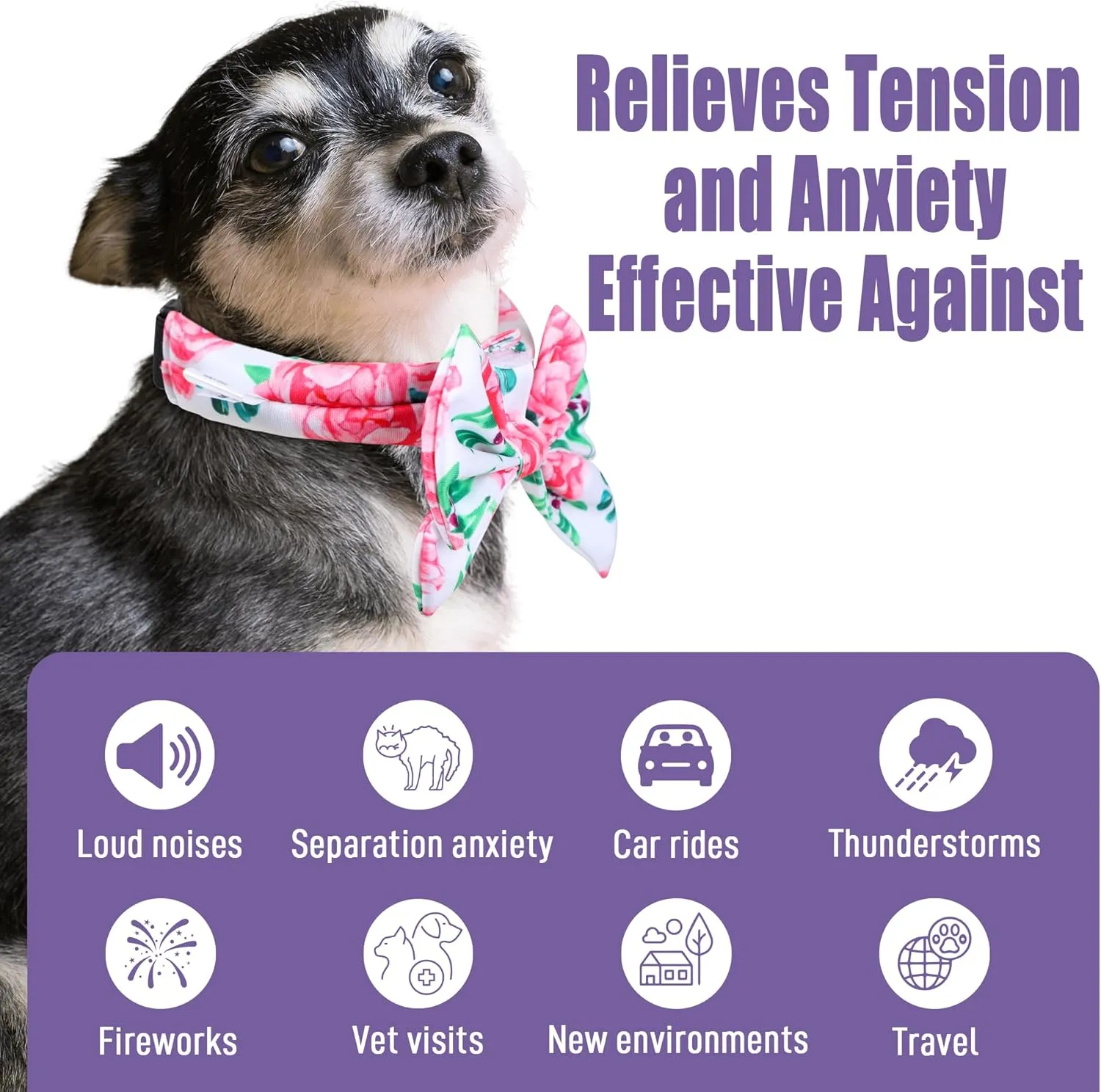 Paw Legend Dog Calming Collar for Dogs Filled with Lavender Anxiety Relief 100% Polyester Adjustable Thunderease Calming Collar (2 Pack, Small)