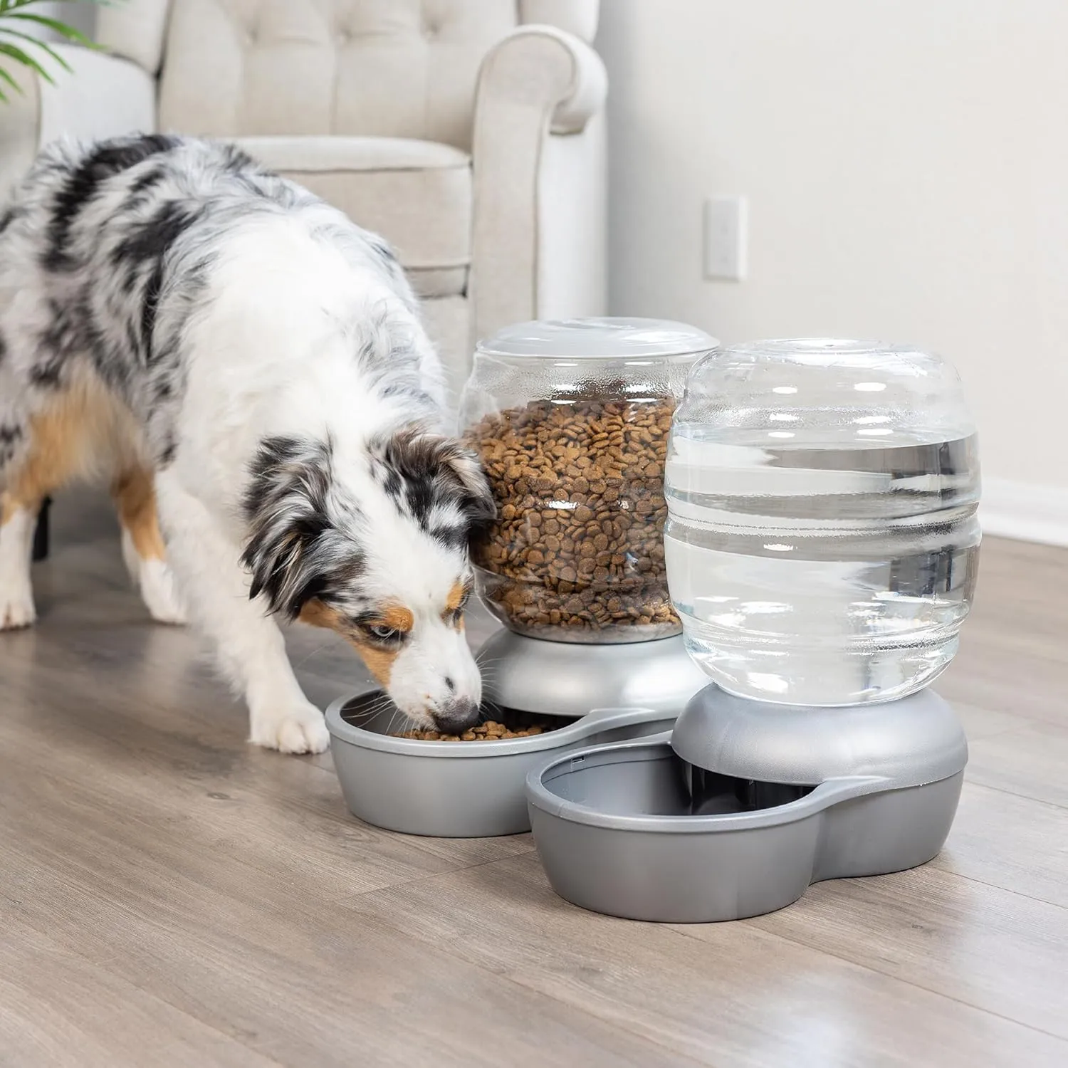 Petmate Replendish Feeder Automatic Cat and Dog Feeder, Pearl Peacock Blue, 10 LB, Made in USA