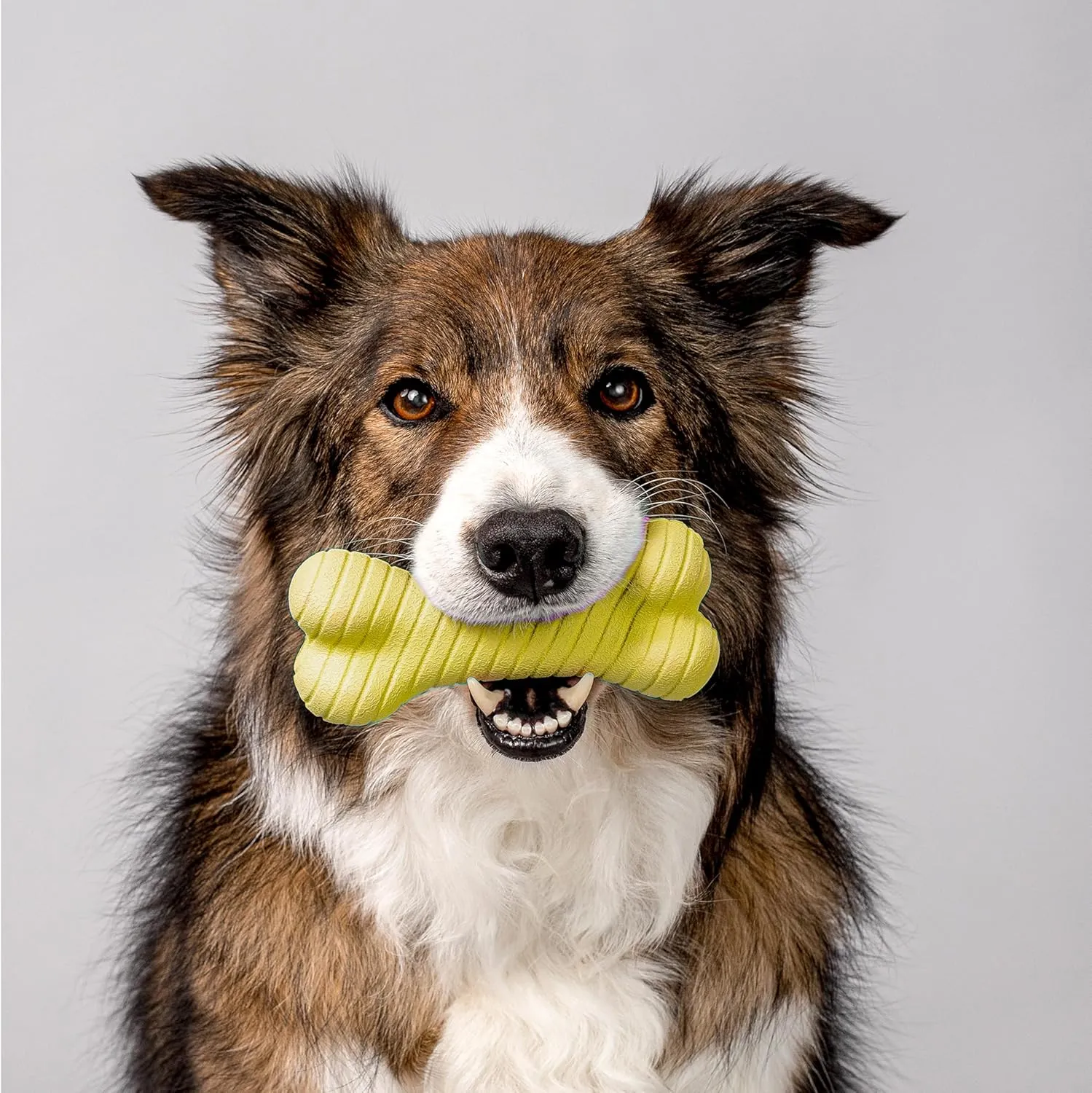 Playology Dual Layer Bone | Engaging All Natural Chicken Scented Dog Toy, Yellow Bone for Medium Dogs up to 50lbs | Interactive & Durable for Tough Chewers
