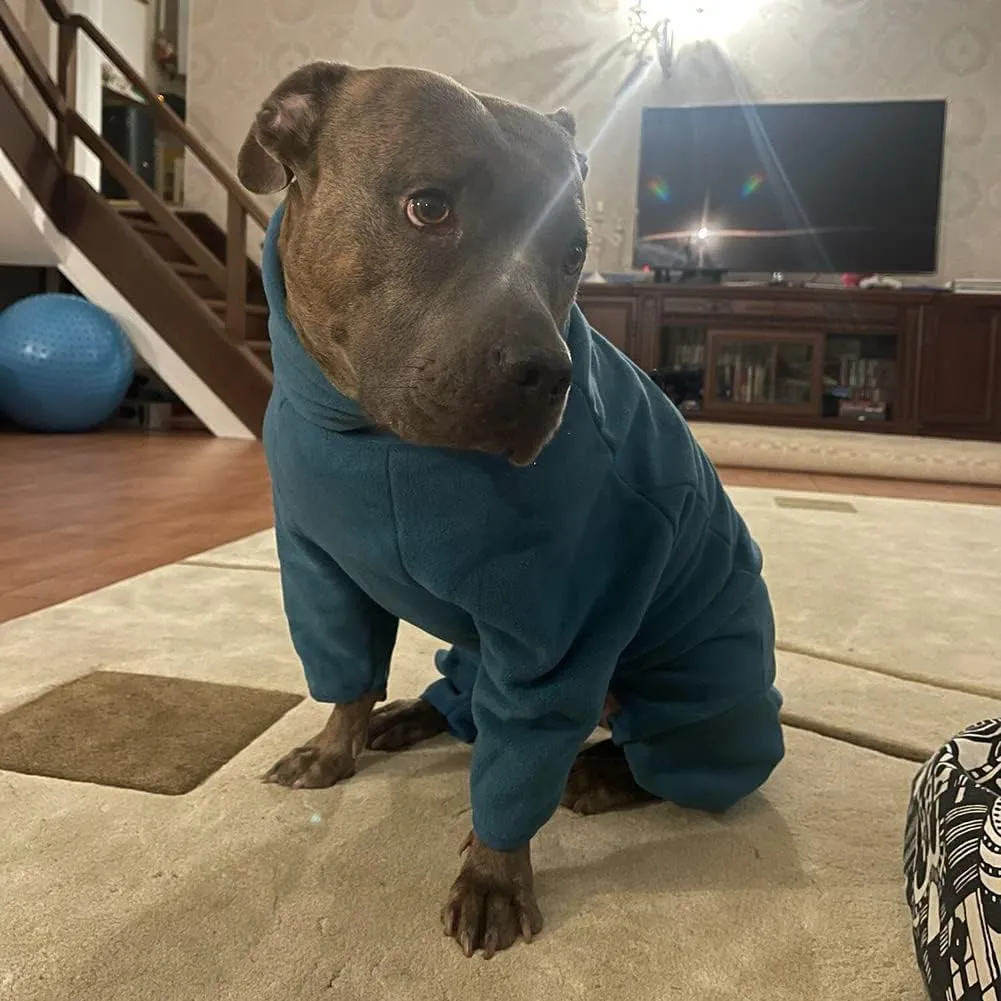 Polar Fleece Dog Jacket - Windproof & Warm Winter Coat for Dogs - Blue, Small to Large