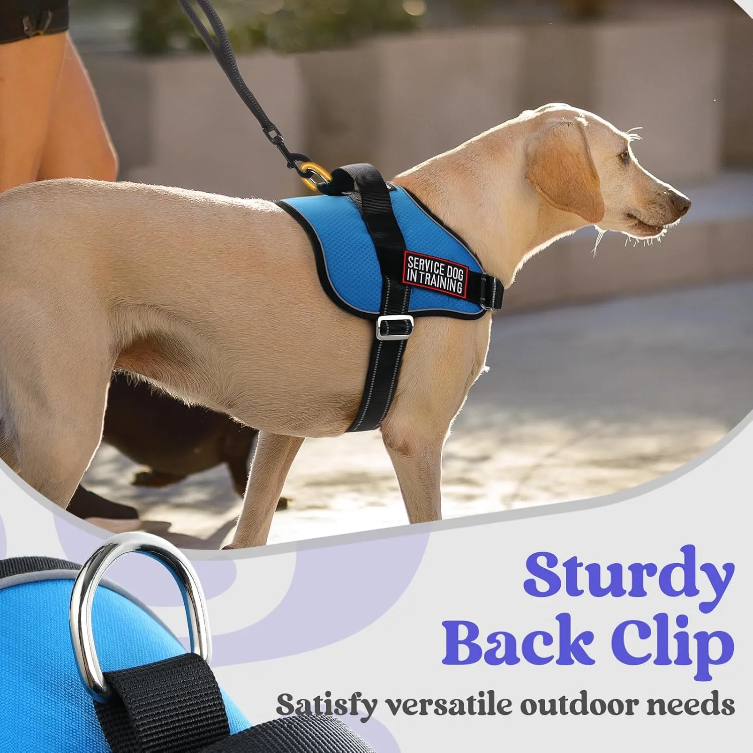 rabbitgoo Dog Harness for Small, Easy On Pet Vest with One Buckle, No Pull Adjustable Service Harness with D-Ring & Handle, Reflective for Safety Walking, Training, Blue, S