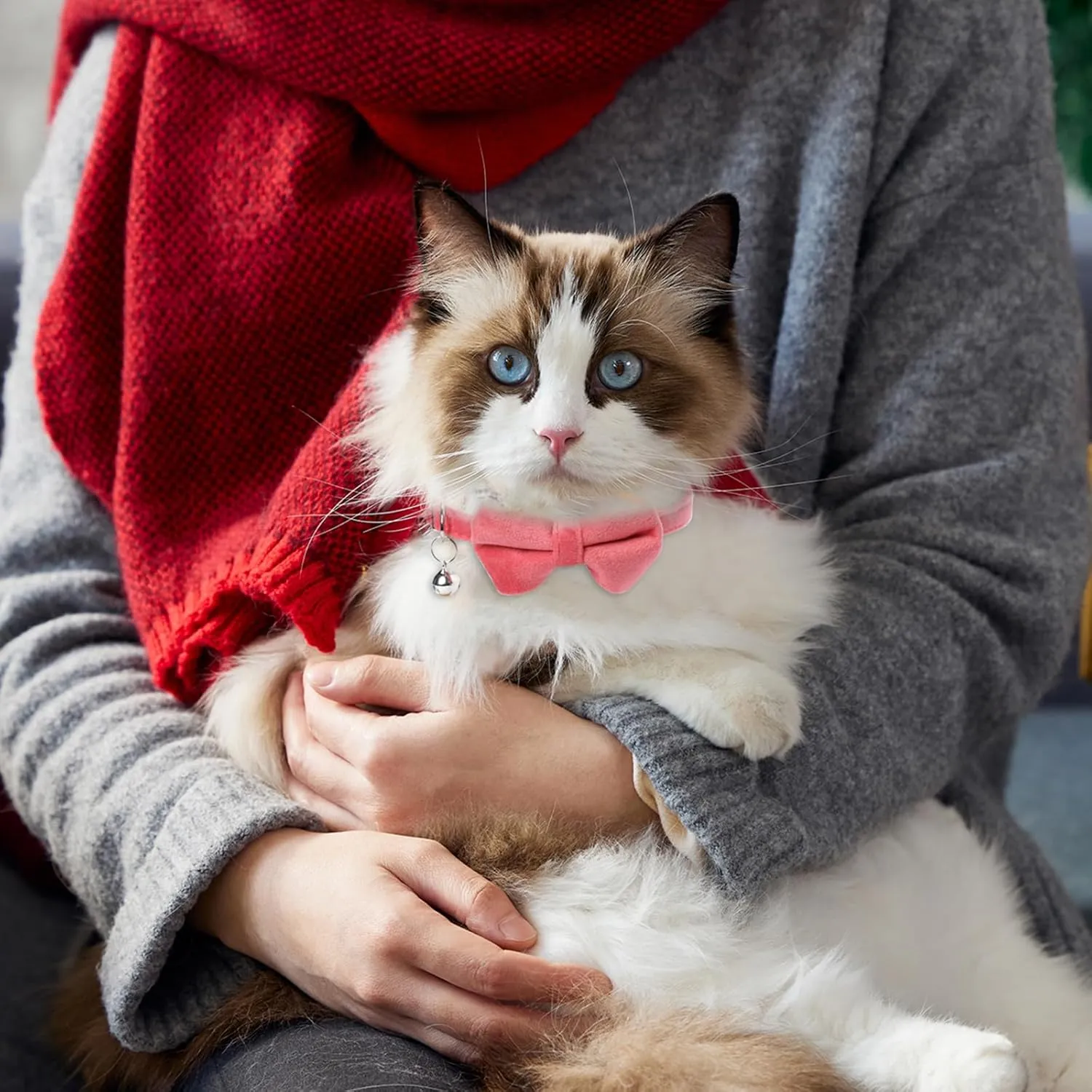 Sliverdew 2 Pcs Safety Cat Collar with Bell Breakaway Bow Tie Cat Collar Adjustable Velvet Kitten Collars Small Puppy Bowtie Collar for Wedding Birthday Party
