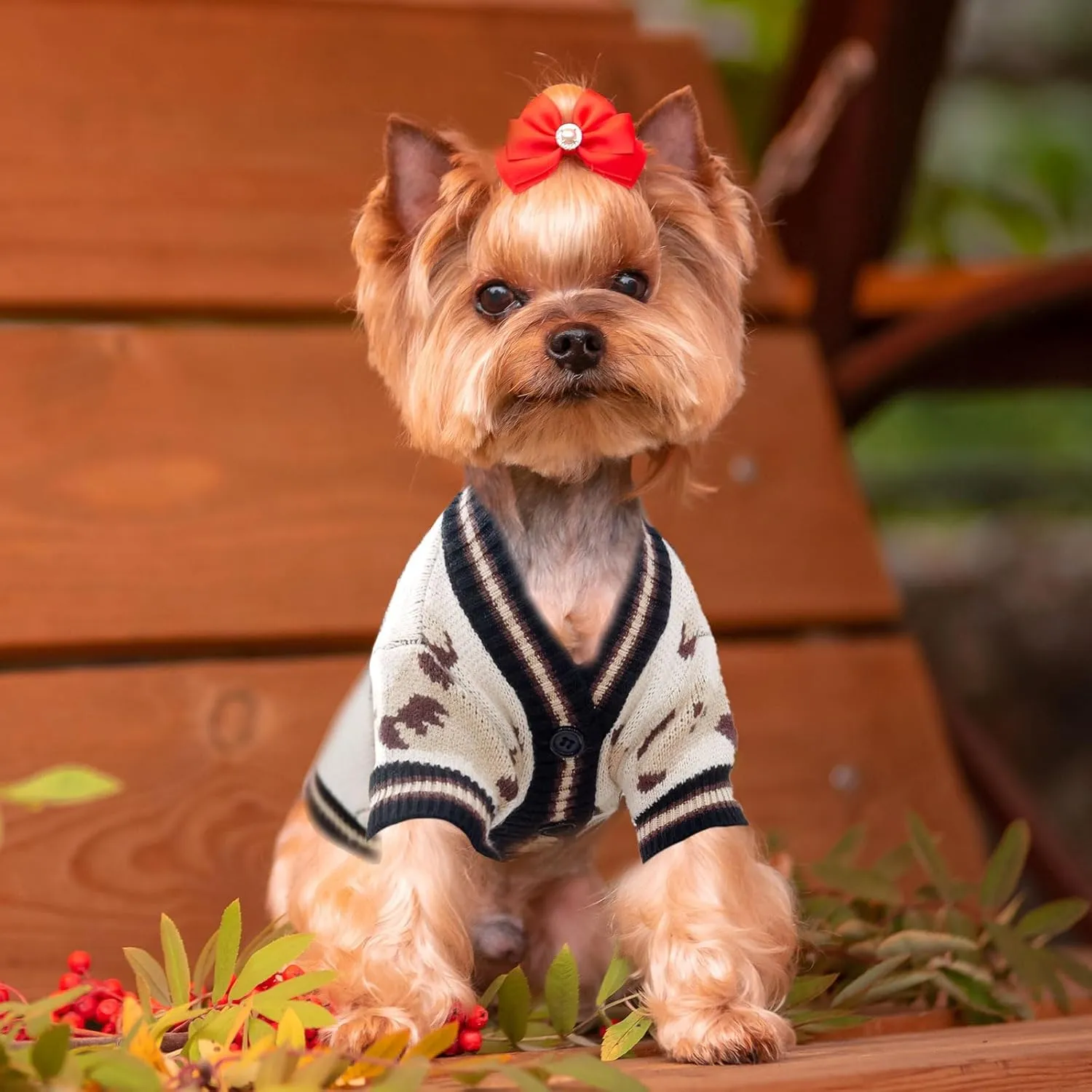 Small Sweaters Cute Bear Cardigans for Small Medium Dogs Boy Girl Puppy Cat Knitting Cardigan Outfits Winter Coats Warm Pet Clothes Soft Knitwear Apparel (Beige,M)
