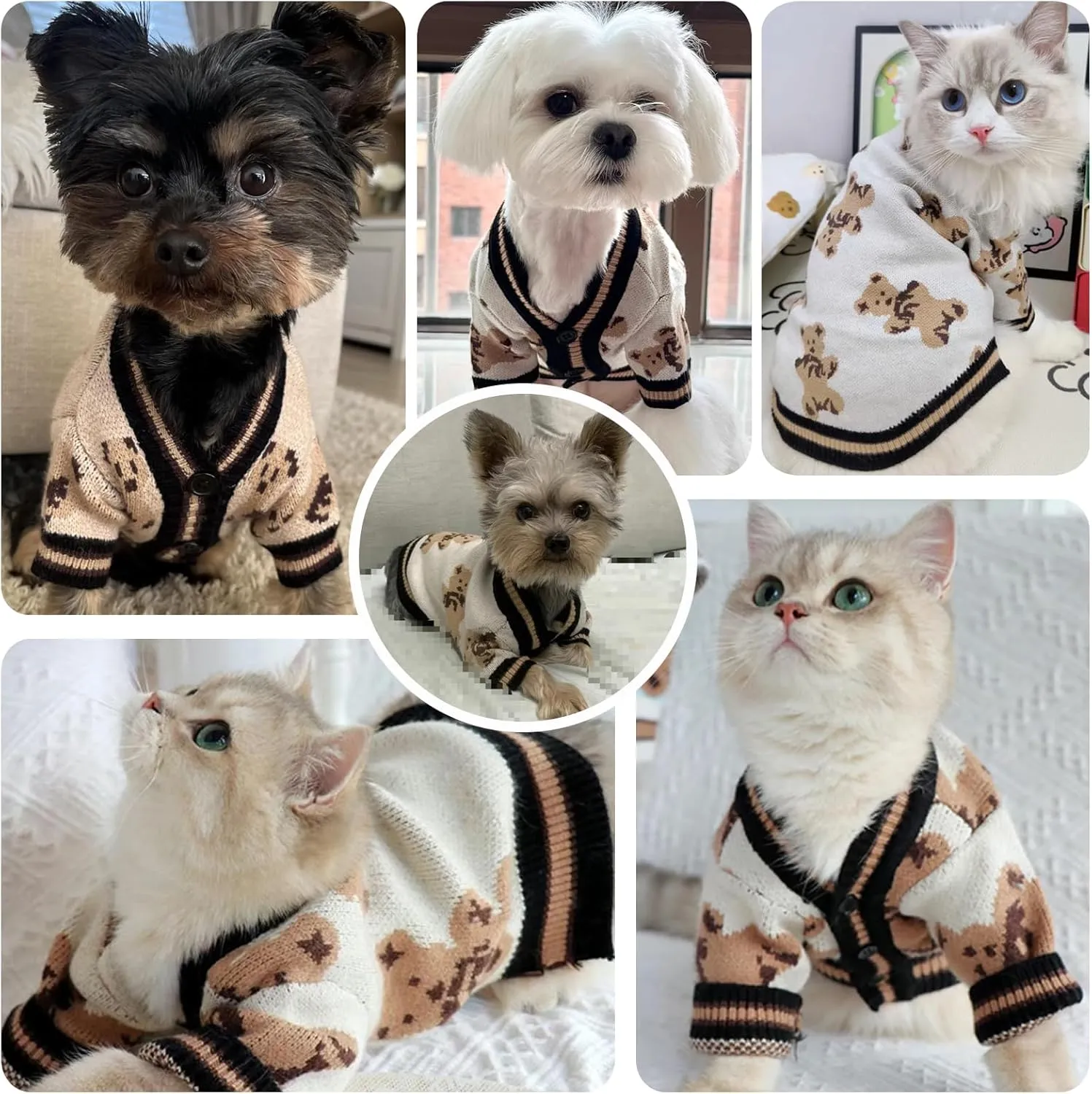 Small Sweaters Cute Bear Cardigans for Small Medium Dogs Boy Girl Puppy Cat Knitting Cardigan Outfits Winter Coats Warm Pet Clothes Soft Knitwear Apparel (Beige,M)