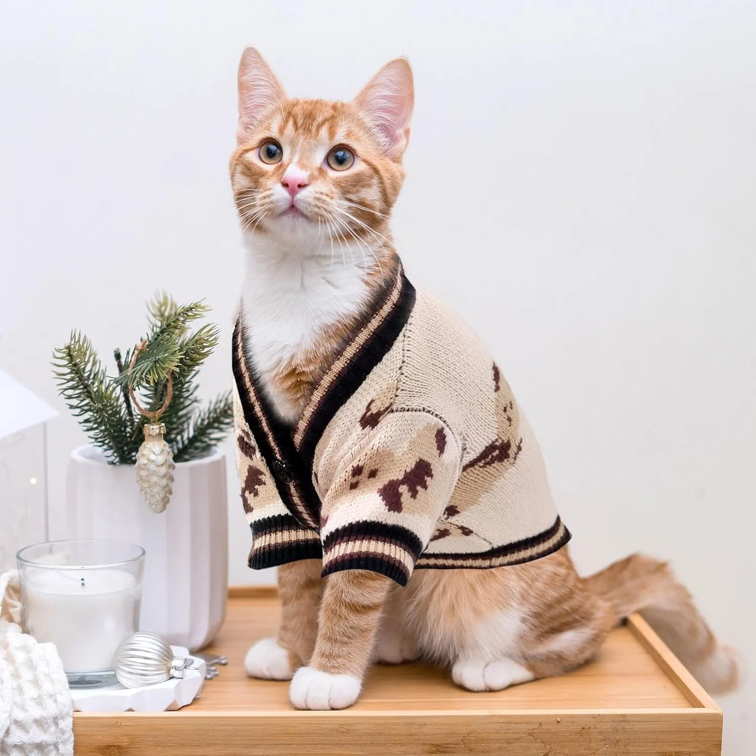 Small Sweaters Cute Bear Cardigans for Small Medium Dogs Boy Girl Puppy Cat Knitting Cardigan Outfits Winter Coats Warm Pet Clothes Soft Knitwear Apparel (Beige,M)