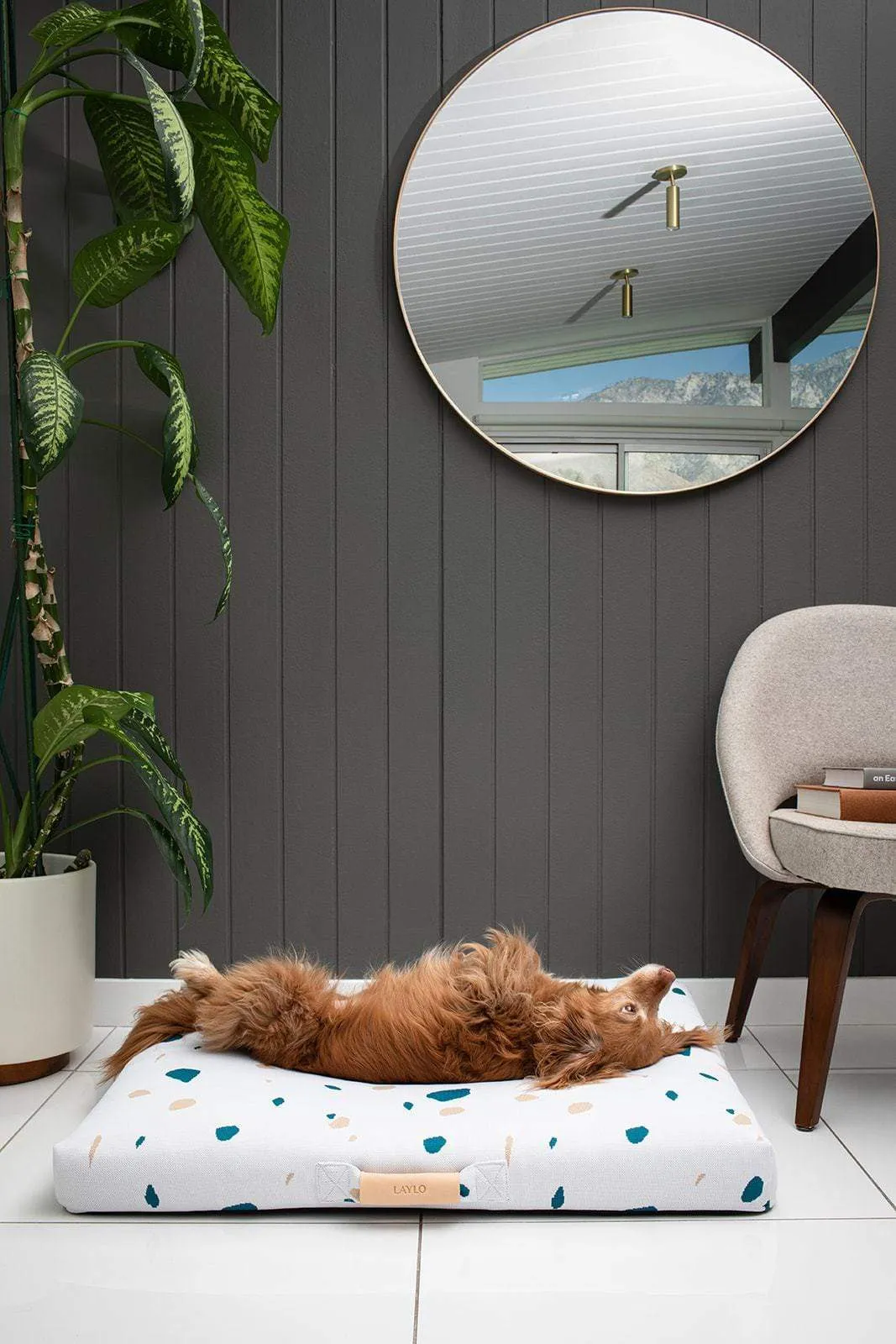White Terrazzo | Mid-Century Modern Dog Bed or Bed Cover